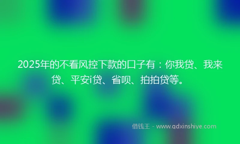 2025年的不看风控下款的口子有：你我贷、我来贷、平安i贷、省呗、拍拍贷等。