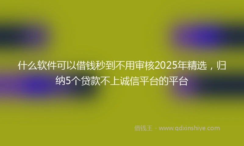 什么软件可以借钱秒到不用审核2025年精选，归纳5个贷款不上诚信平台的平台