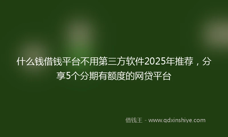 什么钱借钱平台不用第三方软件2025年推荐，分享5个分期有额度的网贷平台