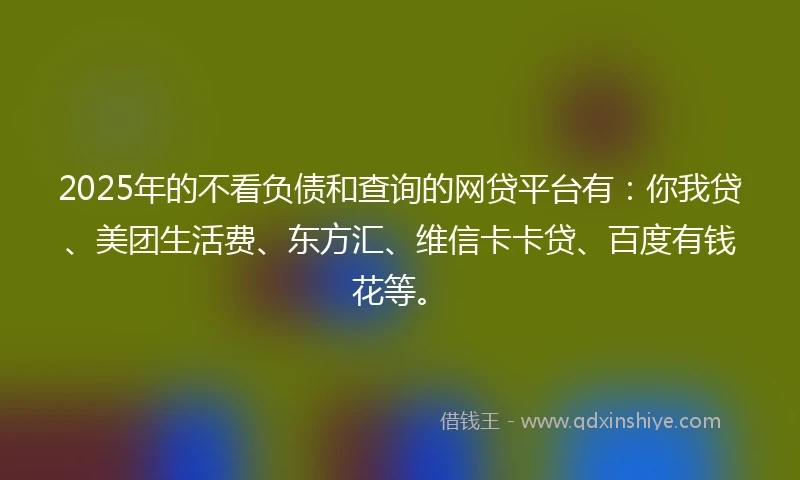 2025年的不看负债和查询的网贷平台有：你我贷、美团生活费、东方汇、维信卡卡贷、百度有钱花等。