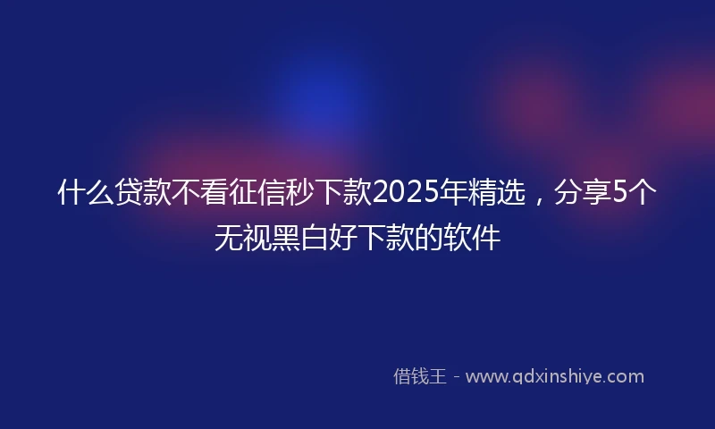 什么贷款不看征信秒下款2025年精选，分享5个无视黑白好下款的软件