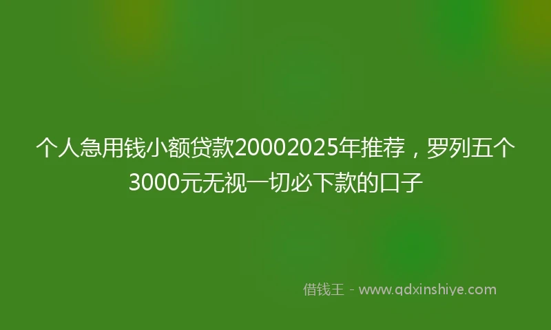 个人急用钱小额贷款20002025年推荐，罗列五个3000元无视一切必下款的口子