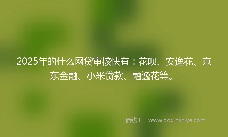 2025年的什么网贷审核快有：花呗、安逸花、京东金融、小米贷款、融逸花等。
