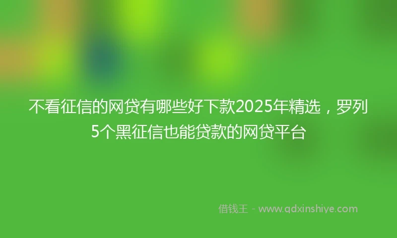 不看征信的网贷有哪些好下款2025年精选，罗列5个黑征信也能贷款的网贷平台