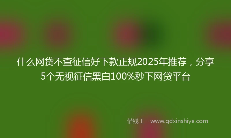 什么网贷不查征信好下款正规2025年推荐，分享5个无视征信黑白100%秒下网贷平台