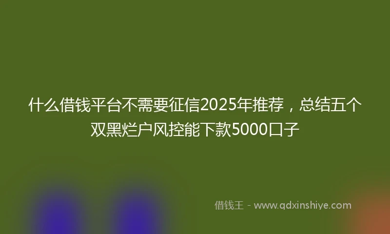 什么借钱平台不需要征信2025年推荐，总结五个双黑烂户风控能下款5000口子