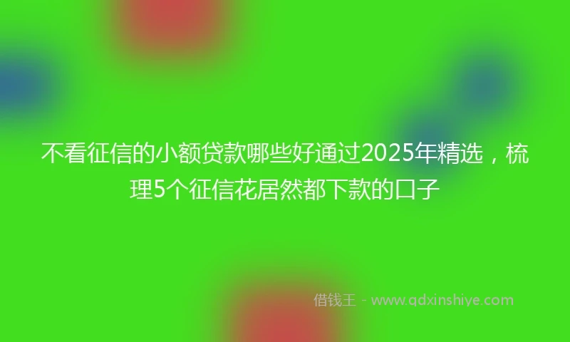 不看征信的小额贷款哪些好通过2025年精选，梳理5个征信花居然都下款的口子