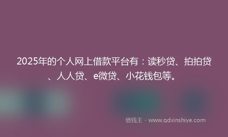 2025年的个人网上借款平台有：读秒贷、拍拍贷、人人贷、e微贷、小花钱包等。