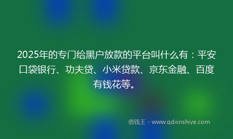 2025年的专门给黑户放款的平台叫什么有：平安口袋银行、功夫贷、小米贷款、京东金融、百度有钱花等。