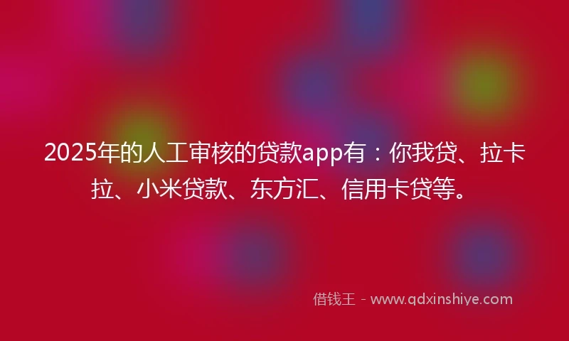 2025年的人工审核的贷款app有：你我贷、拉卡拉、小米贷款、东方汇、信用卡贷等。