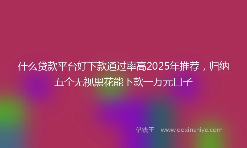 什么贷款平台好下款通过率高2025年推荐，归纳五个无视黑花能下款一万元口子