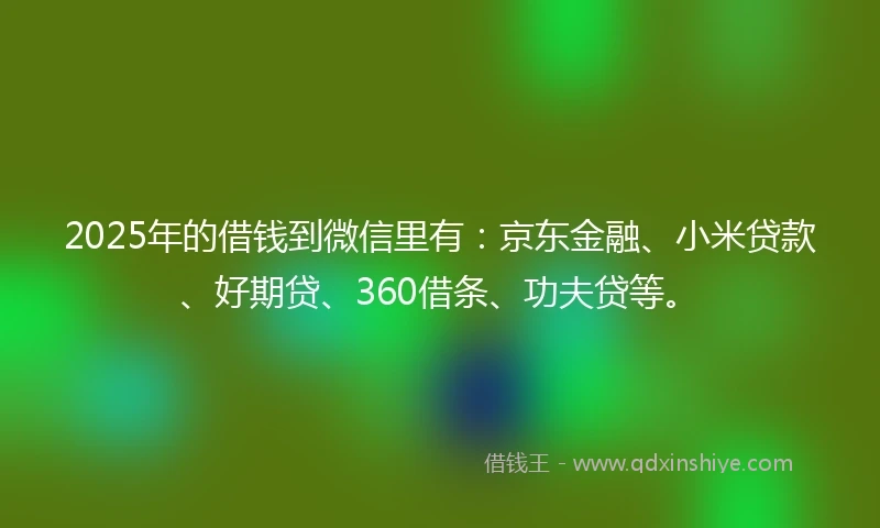 2025年的借钱到微信里有：京东金融、小米贷款、好期贷、360借条、功夫贷等。