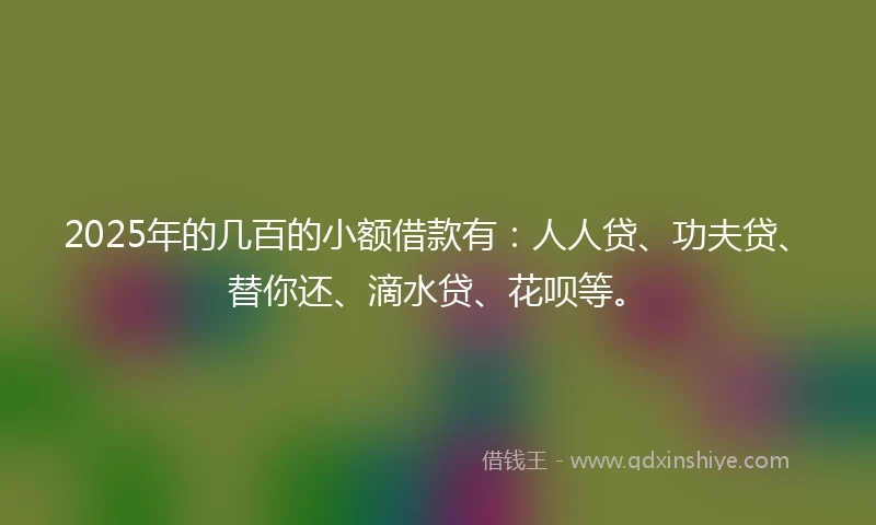 2025年的几百的小额借款有：人人贷、功夫贷、替你还、滴水贷、花呗等。