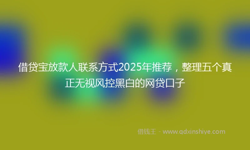 借贷宝放款人联系方式2025年推荐，整理五个真正无视风控黑白的网贷口子
