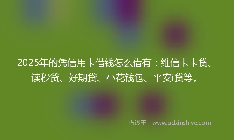 2025年的凭信用卡借钱怎么借有：维信卡卡贷、读秒贷、好期贷、小花钱包、平安i贷等。