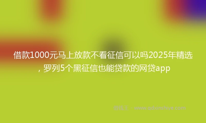 借款1000元马上放款不看征信可以吗2025年精选，罗列5个黑征信也能贷款的网贷app