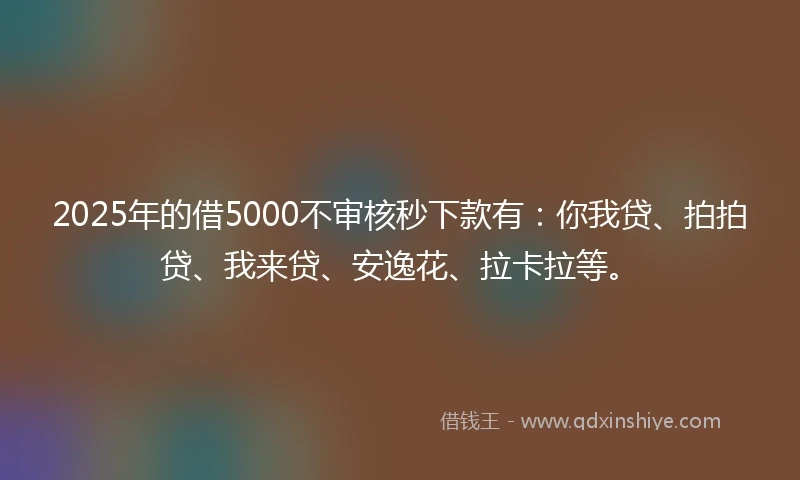 2025年的借5000不审核秒下款有：你我贷、拍拍贷、我来贷、安逸花、拉卡拉等。