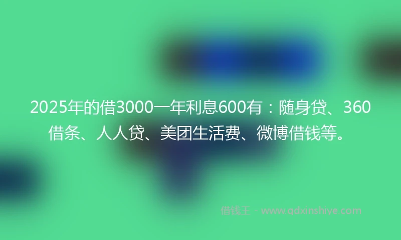 2025年的借3000一年利息600有：随身贷、360借条、人人贷、美团生活费、微博借钱等。