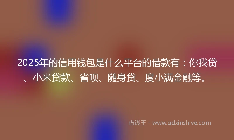 2025年的信用钱包是什么平台的借款有：你我贷、小米贷款、省呗、随身贷、度小满金融等。