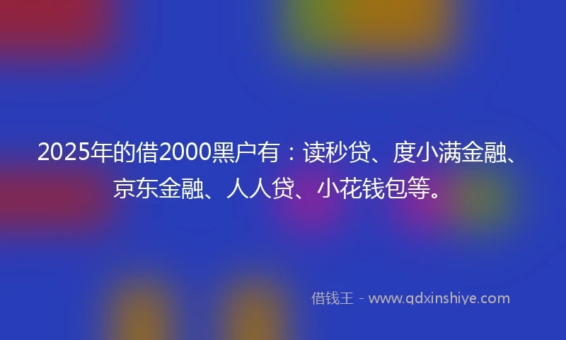2025年的借2000黑户有：读秒贷、度小满金融、京东金融、人人贷、小花钱包等。