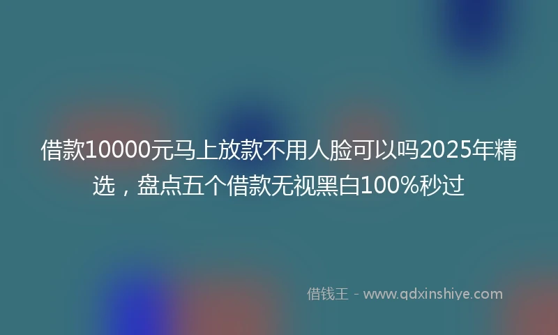 借款10000元马上放款不用人脸可以吗2025年精选，盘点五个借款无视黑白100%秒过