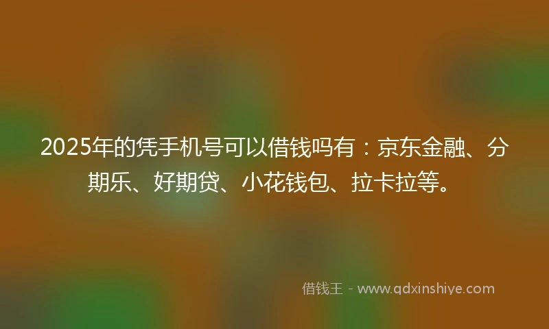 2025年的凭手机号可以借钱吗有：京东金融、分期乐、好期贷、小花钱包、拉卡拉等。