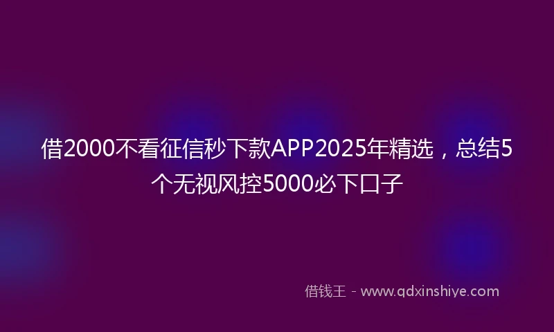借2000不看征信秒下款APP2025年精选，总结5个无视风控5000必下口子