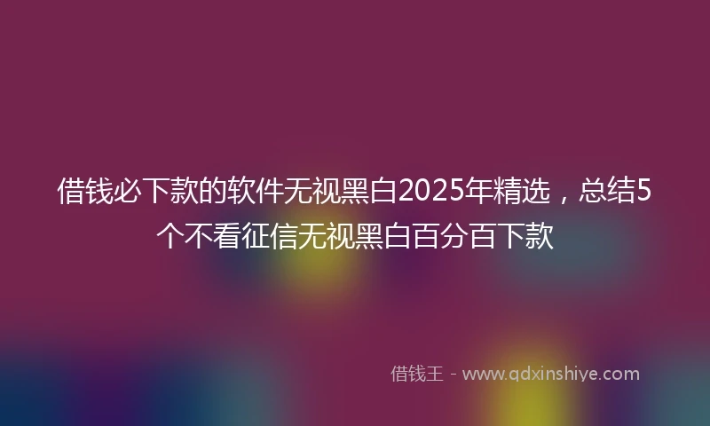 借钱必下款的软件无视黑白2025年精选，总结5个不看征信无视黑白百分百下款
