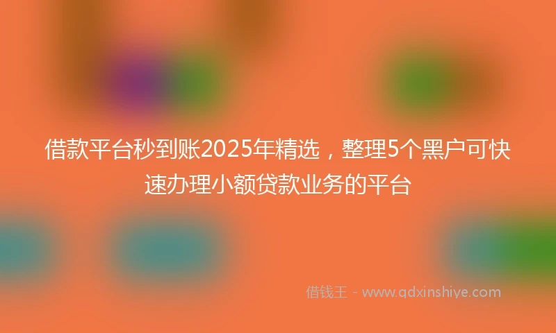 借款平台秒到账2025年精选，整理5个黑户可快速办理小额贷款业务的平台