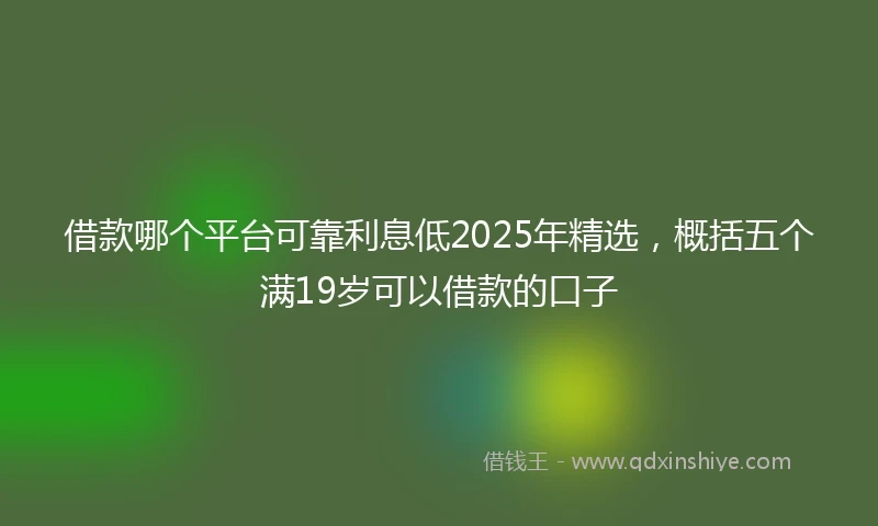 借款哪个平台可靠利息低2025年精选，概括五个满19岁可以借款的口子