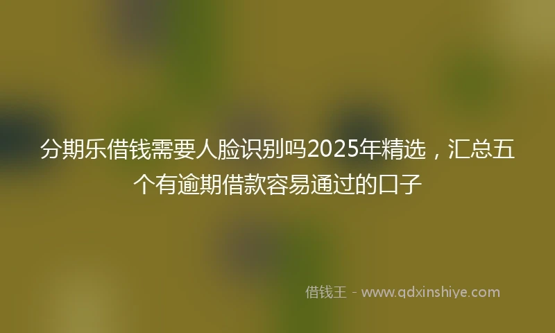 分期乐借钱需要人脸识别吗2025年精选，汇总五个有逾期借款容易通过的口子