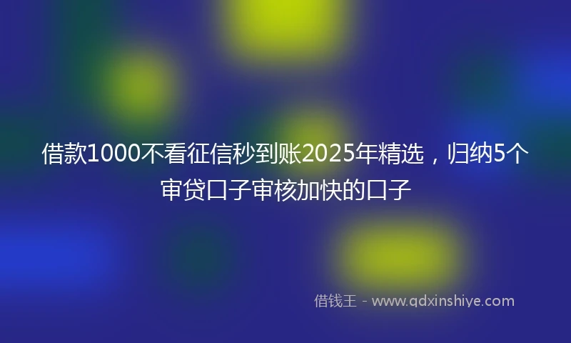 借款1000不看征信秒到账2025年精选，归纳5个审贷口子审核加快的口子