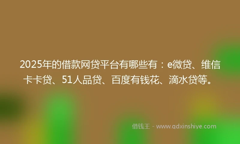 2025年的借款网贷平台有哪些有：e微贷、维信卡卡贷、51人品贷、百度有钱花、滴水贷等。