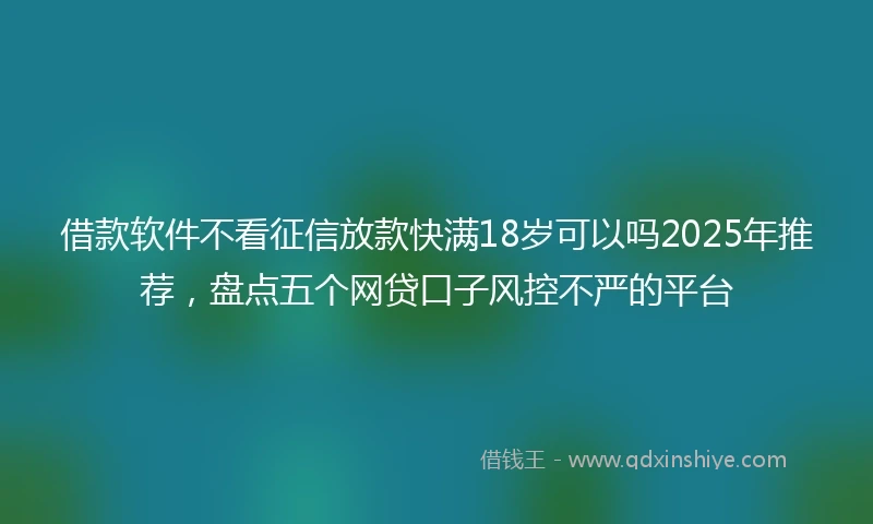 借款软件不看征信放款快满18岁可以吗2025年推荐，盘点五个网贷口子风控不严的平台