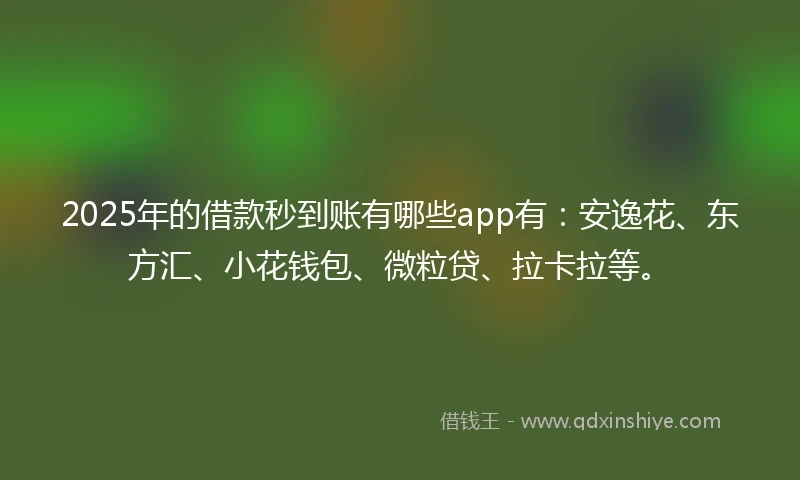 2025年的借款秒到账有哪些app有：安逸花、东方汇、小花钱包、微粒贷、拉卡拉等。