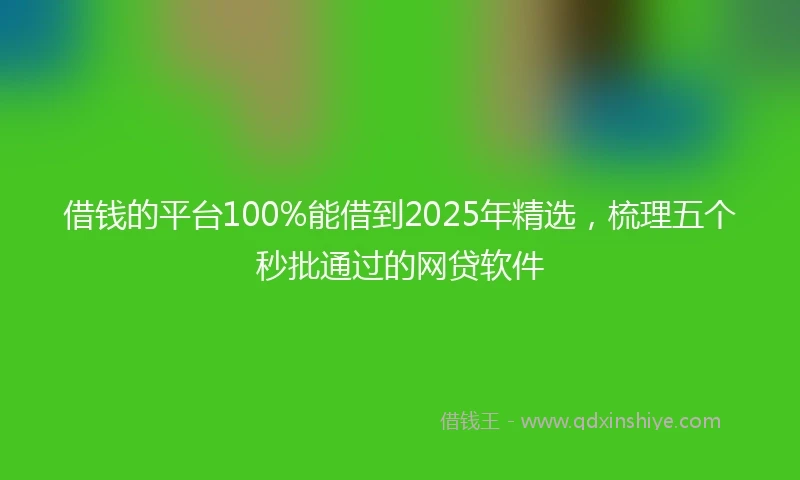 借钱的平台100%能借到2025年精选，梳理五个秒批通过的网贷软件