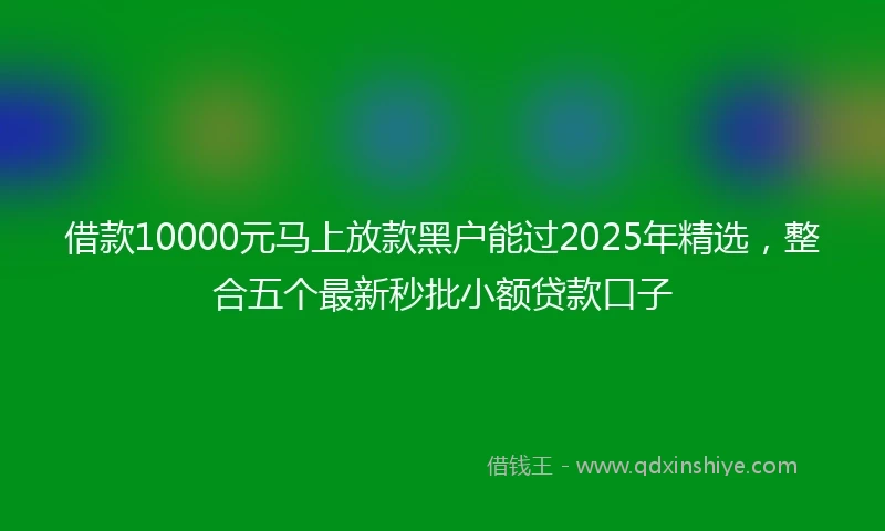 借款10000元马上放款黑户能过2025年精选，整合五个最新秒批小额贷款口子