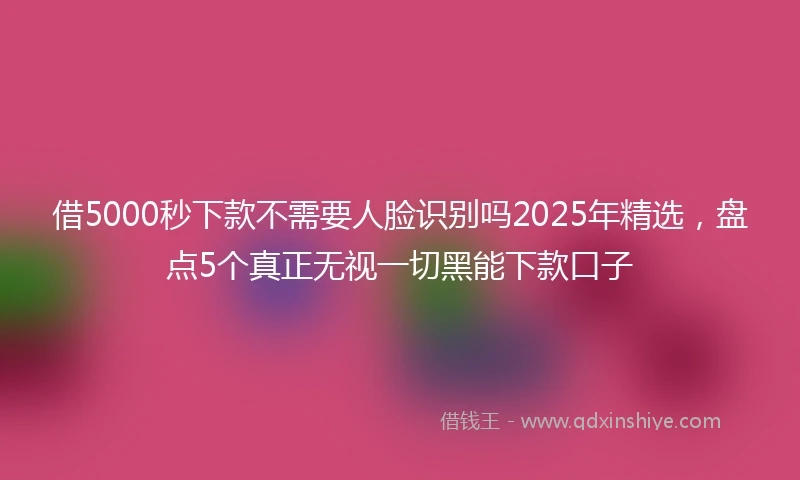 借5000秒下款不需要人脸识别吗2025年精选，盘点5个真正无视一切黑能下款口子