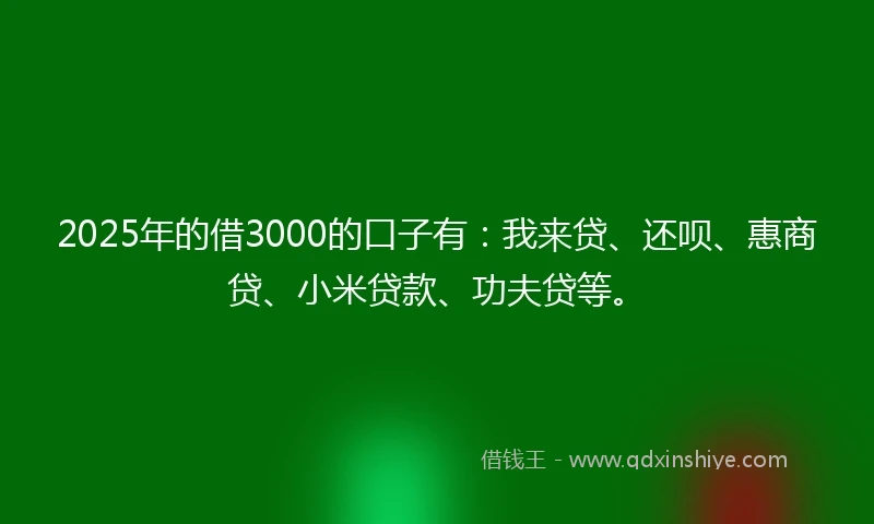 2025年的借3000的口子有:我来贷、还呗、惠商贷、小米贷款、功夫贷等。