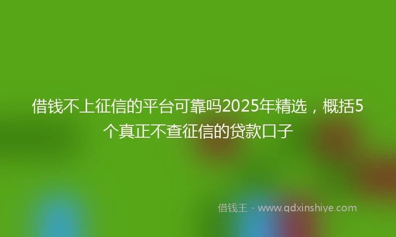 借钱不上征信的平台可靠吗2025年精选，概括5个真正不查征信的贷款口子