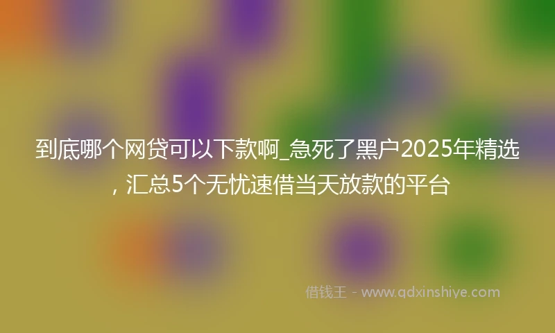 到底哪个网贷可以下款啊_急死了黑户2025年精选，汇总5个无忧速借当天放款的平台