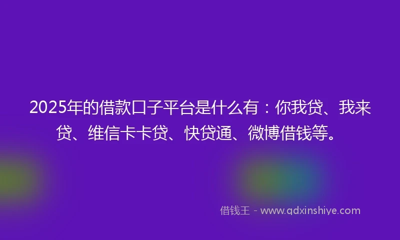 2025年的借款口子平台是什么有：你我贷、我来贷、维信卡卡贷、快贷通、微博借钱等。