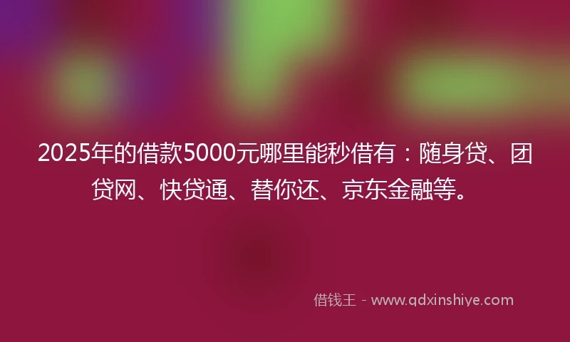 2025年的借款5000元哪里能秒借有：随身贷、团贷网、快贷通、替你还、京东金融等。