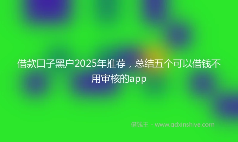 借款口子黑户2025年推荐，总结五个可以借钱不用审核的app