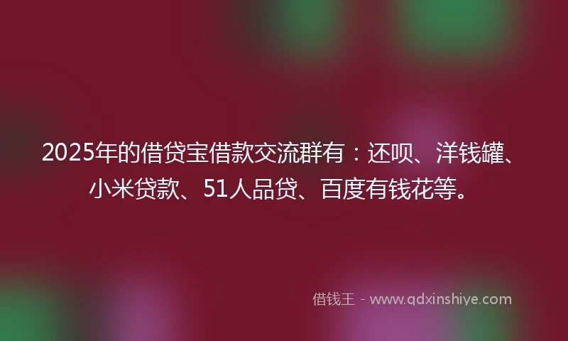 2025年的借贷宝借款交流群有：还呗、洋钱罐、小米贷款、51人品贷、百度有钱花等。