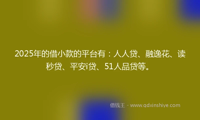 2025年的借小款的平台有：人人贷、融逸花、读秒贷、平安i贷、51人品贷等。