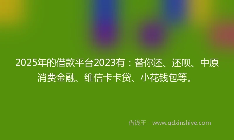 2025年的借款平台2023有：替你还、还呗、中原消费金融、维信卡卡贷、小花钱包等。