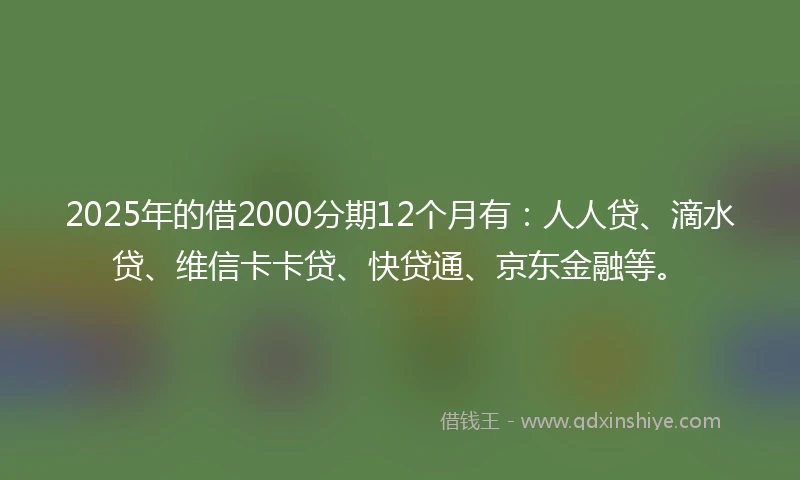 2025年的借2000分期12个月有：人人贷、滴水贷、维信卡卡贷、快贷通、京东金融等。