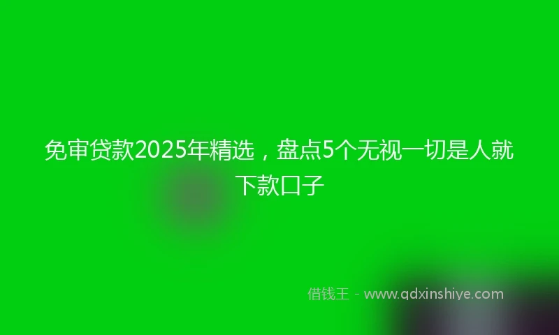免审贷款2025年精选，盘点5个无视一切是人就下款口子