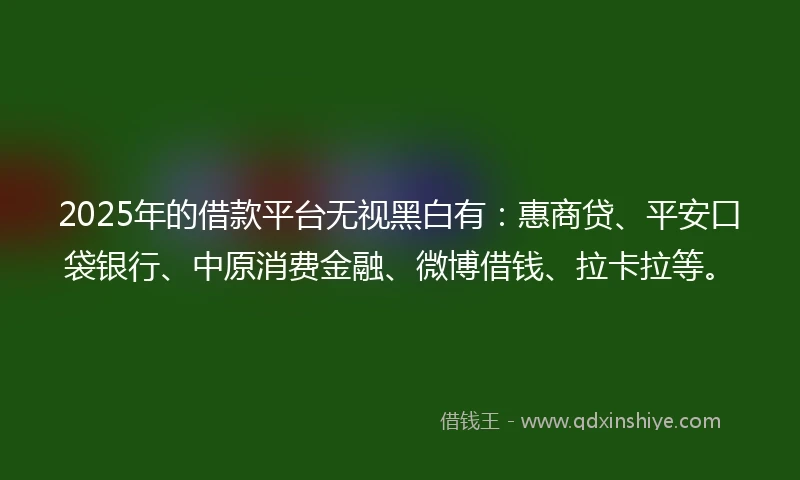 2025年的借款平台无视黑白有：惠商贷、平安口袋银行、中原消费金融、微博借钱、拉卡拉等。